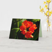 鮮やかオレンジ色の花、フローラ、あいさつ空白のい カード (黄色い花)