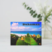 鮮やかカスタム熱帯の目的地 ポストカード (スタンド正面)