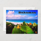 鮮やかカスタム熱帯の目的地 ポストカード (正面/裏面)