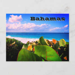 鮮やかカスタム熱帯の目的地 ポストカード