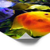 鮮やかカラフル水中競技 ポスター (角)