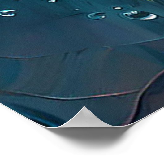 鮮やかバラ ポスター (角)