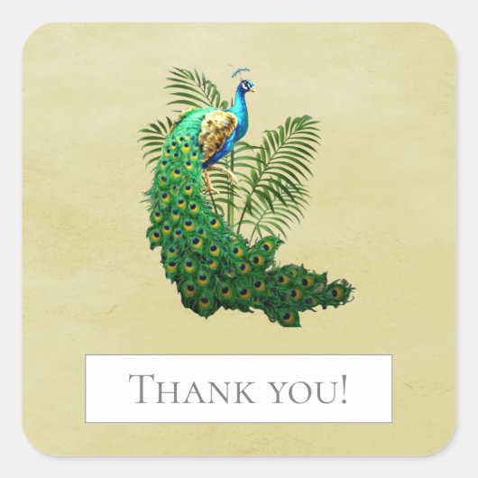 鮮やかピーコック |イエローステッカー スクエアシール (正面)