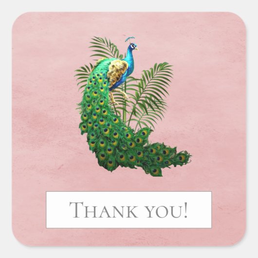 鮮やかピーコック |ピンクステッカー スクエアシール (正面)