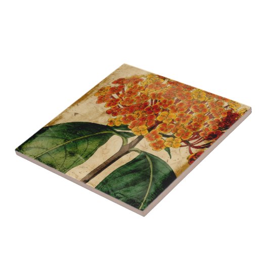 鮮やかフローラ タイル (側面)