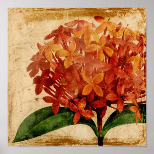 鮮やかフローラ ポスター (正面)