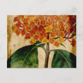 鮮やかフローラ ポストカード (正面)