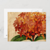 鮮やかフローラ ポストカード (正面/裏面)