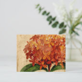 鮮やかフローラ ポストカード (スタンド正面)