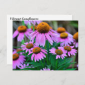 鮮やか下 ポストカード (正面/裏面)