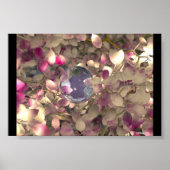 鮮やか二 ポスター (正面)