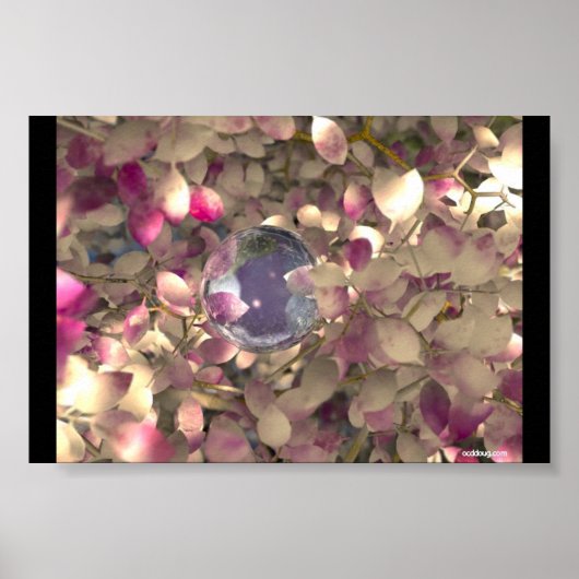 鮮やか二 ポスター (正面)