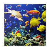 鮮やか海 タイル (正面)