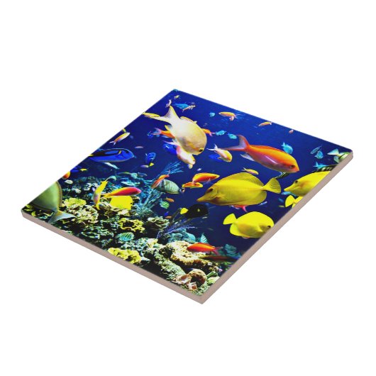 鮮やか海 タイル (側面)