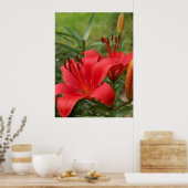 鮮やか美しい- by W. Michael Ley - ... ポスター (キッチン)