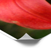 鮮やか美しい- by W. Michael Ley - ... ポスター (角)