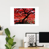 鮮やか葉Photo of the Year Finalist ポスター (ホームオフィス)