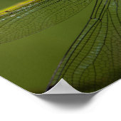 鮮やかHawker Dragonfly Close Up - Wildlife Photo ポスター (角)