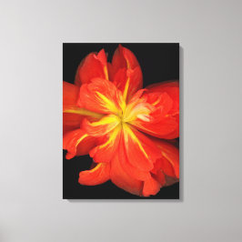 鮮やかOrange Begoniaマクロ キャンバスプリント