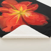 鮮やかOrange Begoniaマクロ シェルパブランケット (3/4)