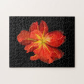 鮮やかOrange Begoniaマクロ ジグソーパズル (横)