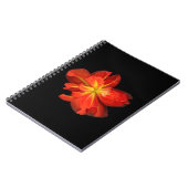 鮮やかOrange Begoniaマクロ ノートブック (左側)