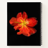 鮮やかOrange Begoniaマクロ ノートブック (裏面)