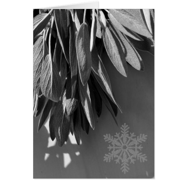 鮮度の高いセージのグレースケール (正面)