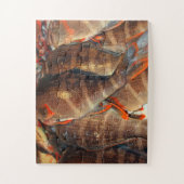 鮮魚 ジグソーパズル (縦)