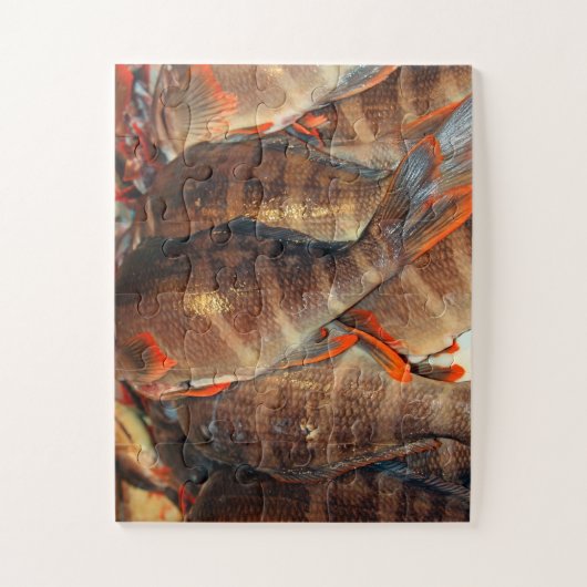 鮮魚 ジグソーパズル (縦)