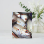 鮮魚 ポストカード (スタンド正面)
