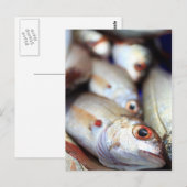鮮魚 ポストカード (正面/裏面)