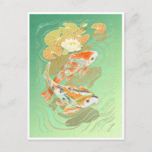 鯉コイ魚水蓮池はがき ポストカード