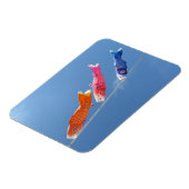 鯉幟（こいのぼり）：日本 マグネット (左側)