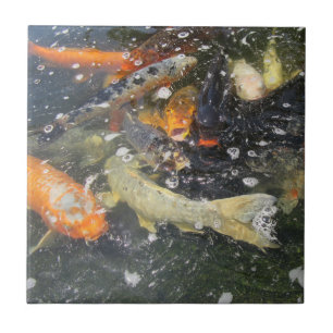 鯉日本のコイ魚泳ぎ タイル