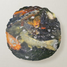 鯉日本のコイ魚泳ぎ