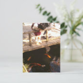 鯉池 ポストカード (スタンド正面)