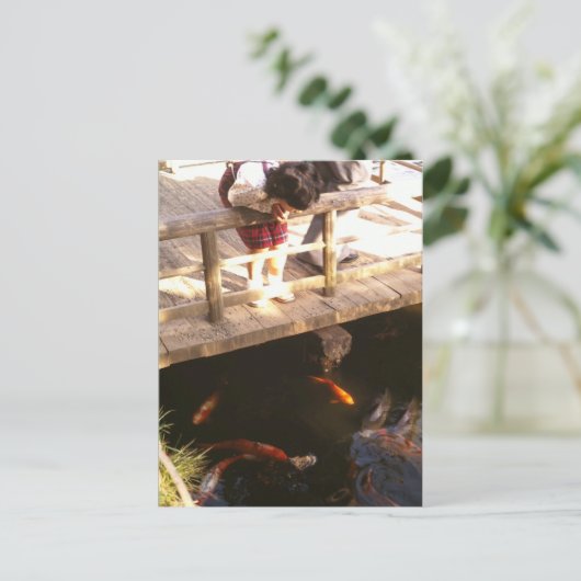 鯉池 ポストカード (スタンド正面)