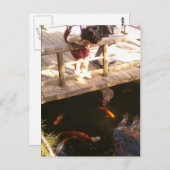 鯉池 ポストカード (正面/裏面)