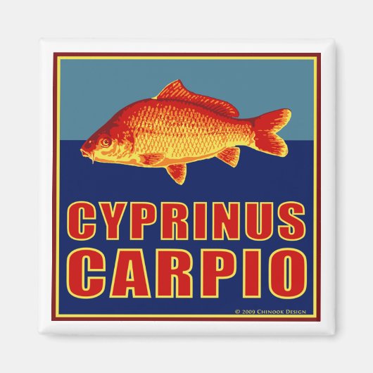 鯉磁石 マグネット (正面)