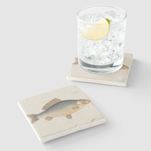 鯉魚魚釣り絵画の淡水 ストーンコースター (横)