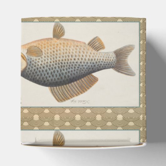 鯉魚魚釣り絵画の淡水 フェイバーボックス (上部)