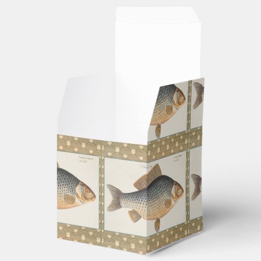 鯉魚魚釣り絵画の淡水 フェイバーボックス (オープン)