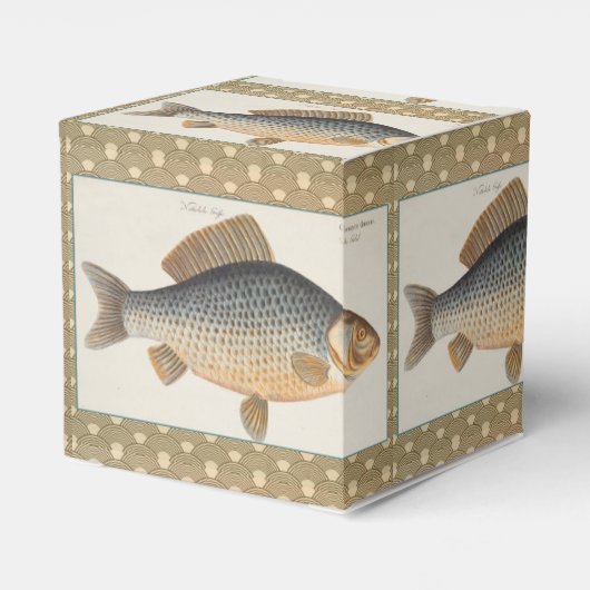 鯉魚魚釣り絵画の淡水 フェイバーボックス (裏面サイド)