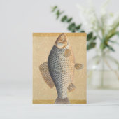 鯉魚魚釣り絵画の淡水 ポストカード (スタンド正面)