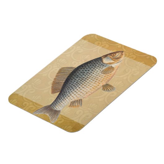 鯉魚魚釣り絵画の淡水 マグネット (左側)