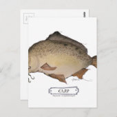 鯉魚、トニー・フェルナンデス ポストカード (正面/裏面)