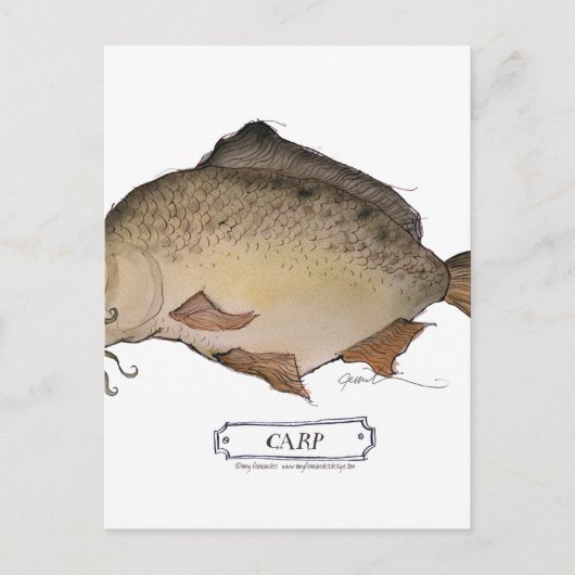 鯉魚、トニー・フェルナンデス ポストカード (正面)