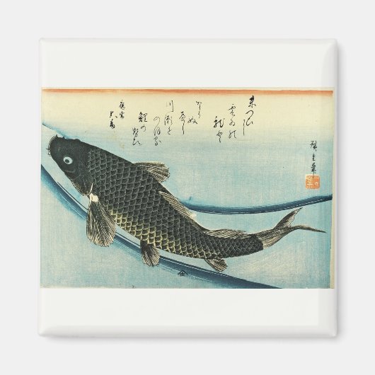 鯉(コイ)- Hiroshigeの日本の魚の版画 マグネット (正面)