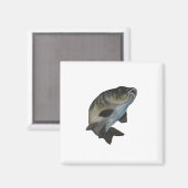 鯉 マグネット (正面/裏面)